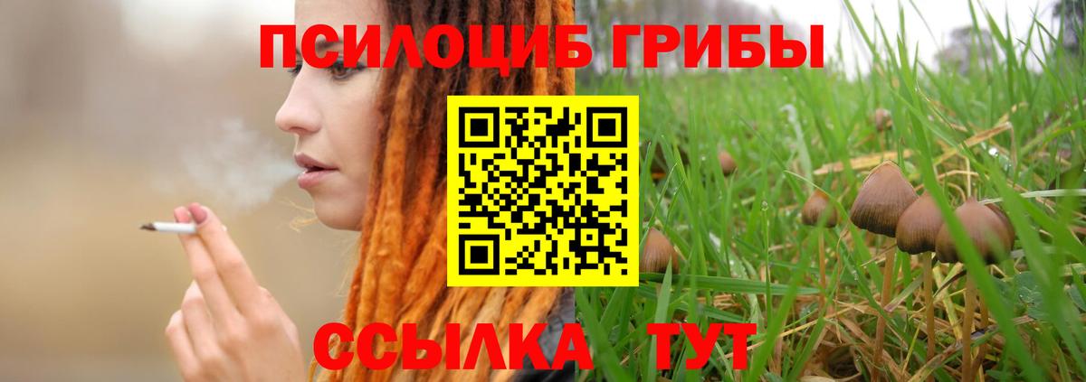 Псилоцибиновые грибы Magic Shrooms  Псилоцибиновые грибы GOLDEN TEACHER  Коряжма  Вход с VPN 