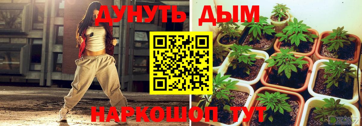 Конопля SATIVA & INDICA Коряжма
